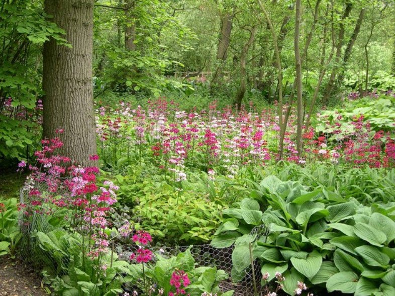 Fairhaven Gardens, United Kingdom, United Kingdom